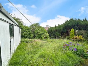 Garden- click for photo gallery